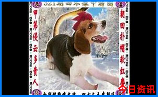 莱州旅游攻略必去景点