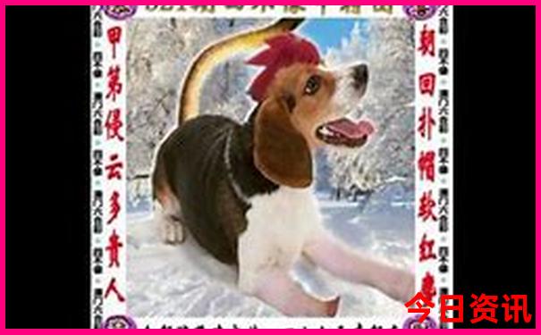 附近景点哪里好玩
